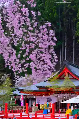 金櫻神社(山梨県)