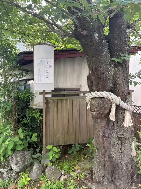 小室浅間神社(山梨県)