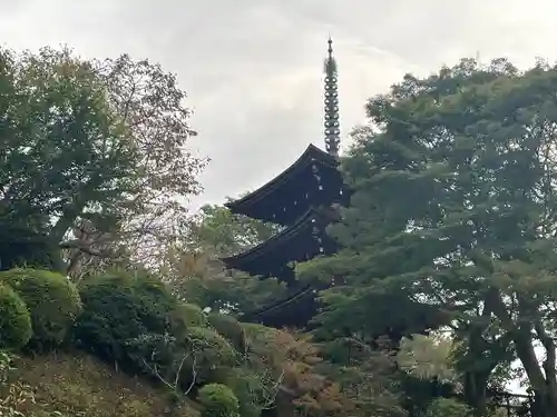 岡寺（龍蓋寺）(奈良県)