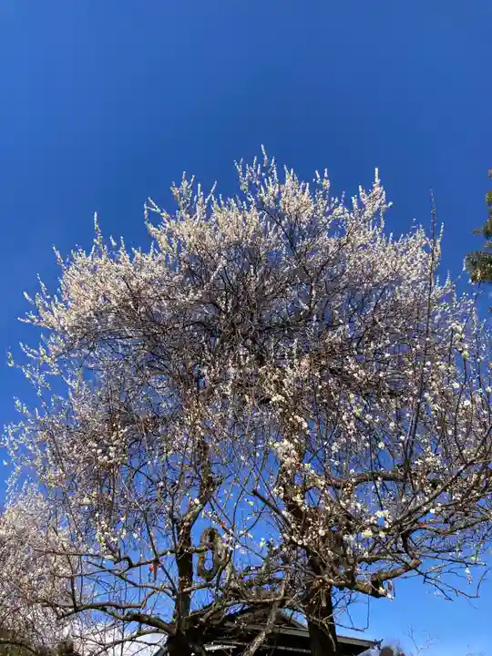 法輪寺(神奈川県)