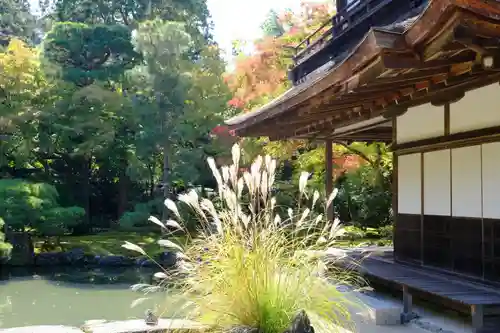 慈照寺（慈照禅寺・銀閣寺）の庭園