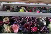 豊景神社の手水舎