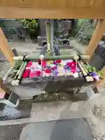 石観音の{uncategorized: "未分類", other: "その他", undefined: "問題あり", building: "その他建物", grave: "お墓", sacred_gate: "鳥居", guardian: "狛犬", statue: "像", buddha: "仏像", history: "歴史", nature: "自然", garden: "庭園", animal: "動物", pagoda: "塔", temizu: "手水舎", mountain_gate: "山門・神門", sanctuary: "本殿・本堂", subordinate: "末社・摂社", art: "芸術", scenery: "景色", jizo: "地蔵", ema: "絵馬", goshuin: "御朱印", omikuji: "おみくじ", items: "授与品その他", amulet: "お守り", goshuincho: "御朱印帳", eats: "食事", festival: "お祭り", votive_dance: "神楽", shichigosan: "七五三参", wedding: "結婚式", experience: "体験その他", initially: "初詣", around: "周辺", anti_infection: "感染症対策"}