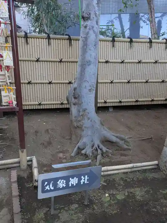 気象神社(東京都)