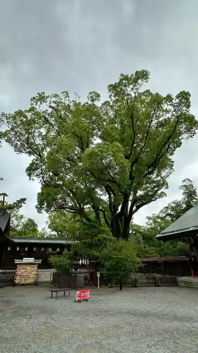 大鳥大社(大阪府)