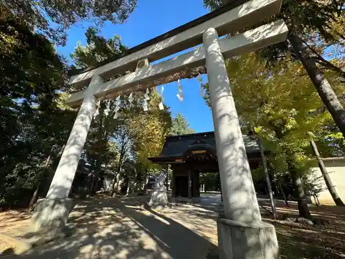 小野神社の鳥居