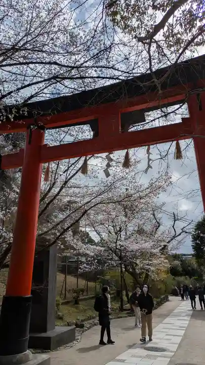 宇治上神社(京都府)