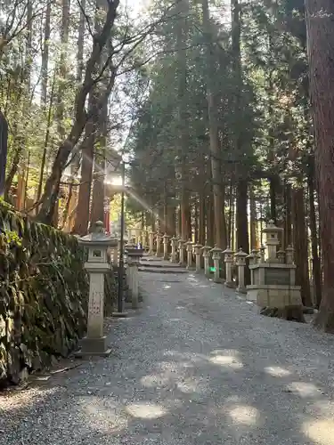 三峯神社(埼玉県)