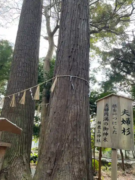 相鹿上神社の自然