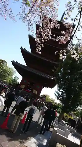 池上本門寺の塔