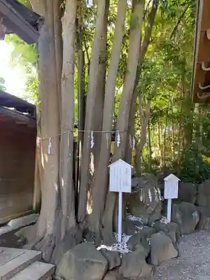 検見川神社(千葉県)