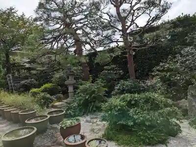 常光院(京都府)