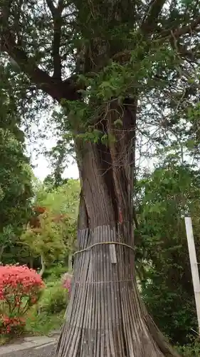 豊景神社(福島県)