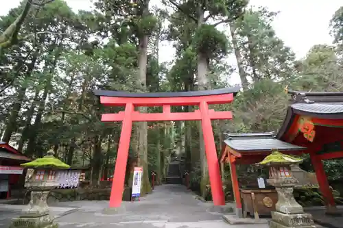 箱根神社の鳥居