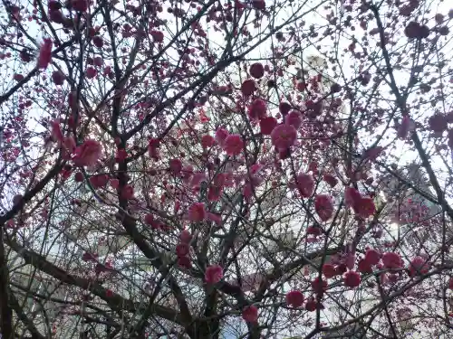 南宮神社(福岡県)