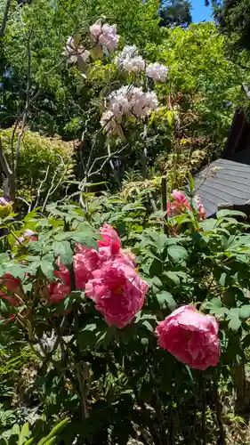 成相寺(京都府)