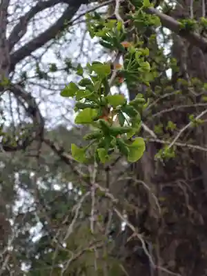 今宮神社(栃木県)
