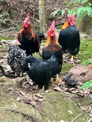 石上神宮(奈良県)