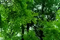 針名神社(愛知県)