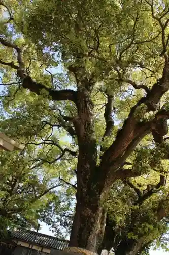 船守神社の自然