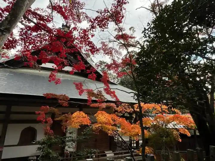 神峯山寺(大阪府)
