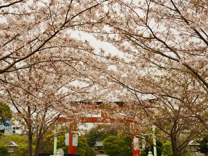 鶴岡八幡宮の自然