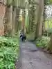 戸隠神社奥社(長野県)