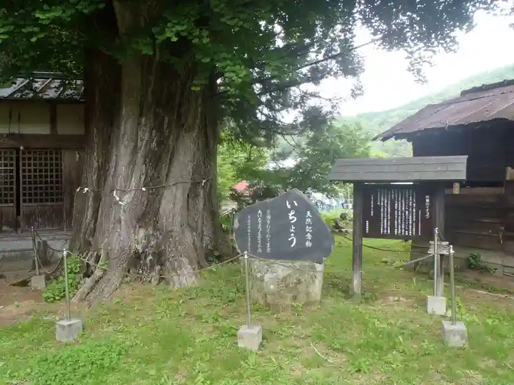 時瀬神明神社(愛知県)