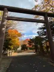 江別神社の鳥居