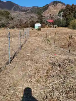 大塚神社（飛駒町）(栃木県)