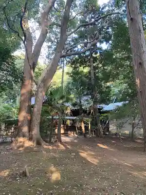 氷川女體神社(埼玉県)