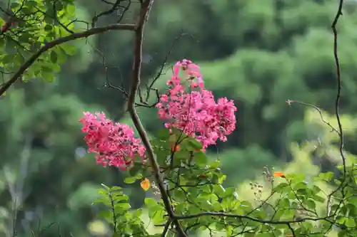 延命寺の庭園