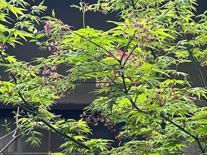 遠照山 光明寺(尼崎大仏)(兵庫県)