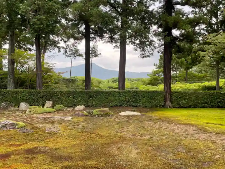 圓通寺(京都府)