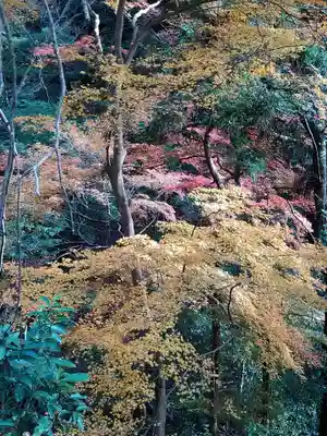 神峯山寺(大阪府)