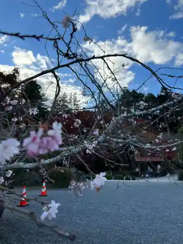 宝蔵寺(福島県)