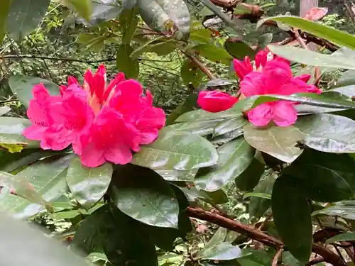 御岩神社(茨城県)