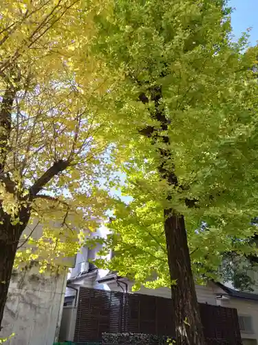 菅原神社(熊本県)
