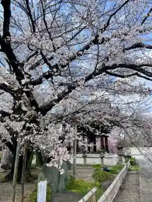 吉祥寺(東京都)