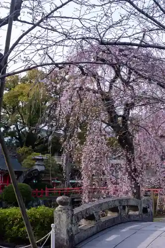 三嶋大社(静岡県)