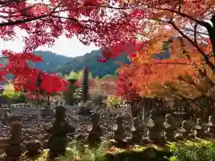 化野念仏寺(京都府)