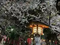 花園神社の自然