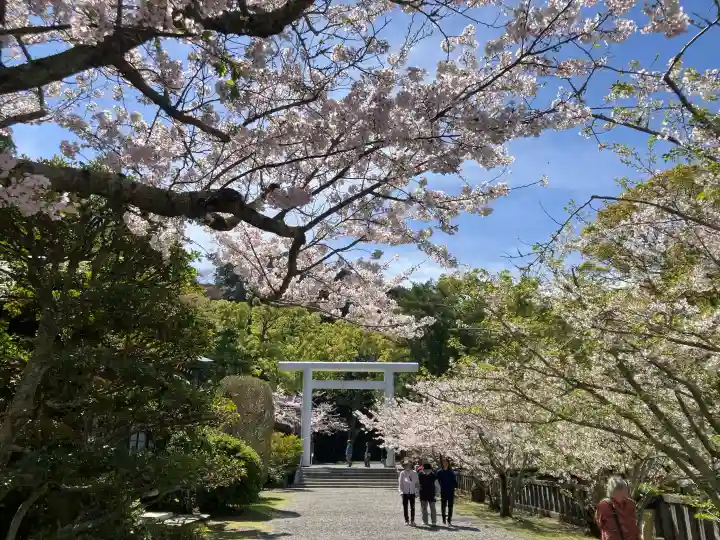 安房神社の{uncategorized: "未分類", other: "その他", undefined: "問題あり", building: "その他建物", grave: "お墓", sacred_gate: "鳥居", guardian: "狛犬", statue: "像", buddha: "仏像", history: "歴史", nature: "自然", garden: "庭園", animal: "動物", pagoda: "塔", temizu: "手水舎", mountain_gate: "山門・神門", sanctuary: "本殿・本堂", subordinate: "末社・摂社", art: "芸術", scenery: "景色", jizo: "地蔵", ema: "絵馬", goshuin: "御朱印", omikuji: "おみくじ", items: "授与品その他", amulet: "お守り", goshuincho: "御朱印帳", eats: "食事", festival: "お祭り", votive_dance: "神楽", shichigosan: "七五三参", wedding: "結婚式", experience: "体験その他", initially: "初詣", around: "周辺", anti_infection: "感染症対策"}