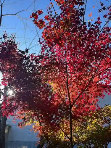 善水寺(滋賀県)