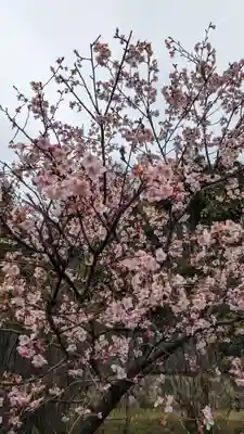 荏柄八幡社(東京都)