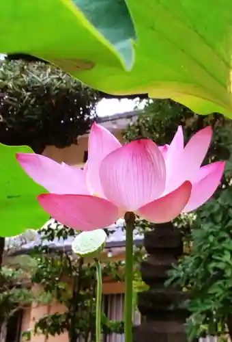 世尊院(東京都)