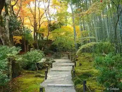 圓光寺(京都府)