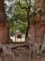 長田神社の自然