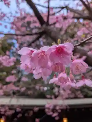代々木八幡宮(東京都)