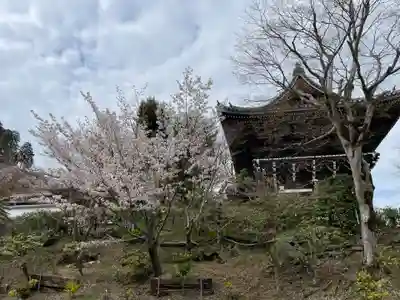 善峯寺(京都府)